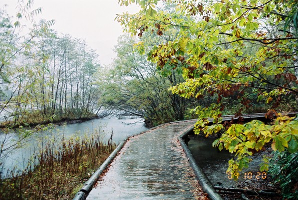 ���s�O�̃P���J�ւ����ˁ`�O�O�G