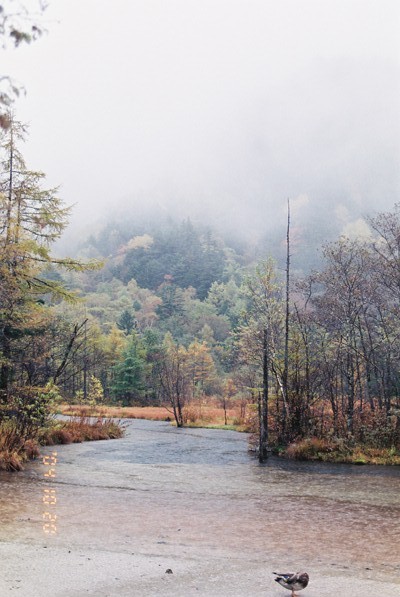 ���V�󂾂������ǁA�Y��